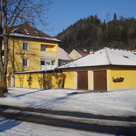 & Dullnig אורחן 3*