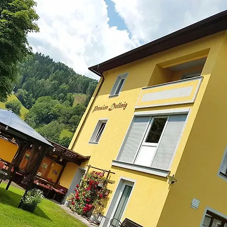 אורחן & Dullnig גמונד